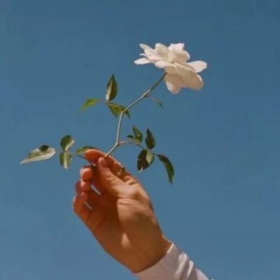 蜀山仙侠图官方最新版下载