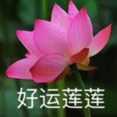 王国保卫战起源版游戏下载